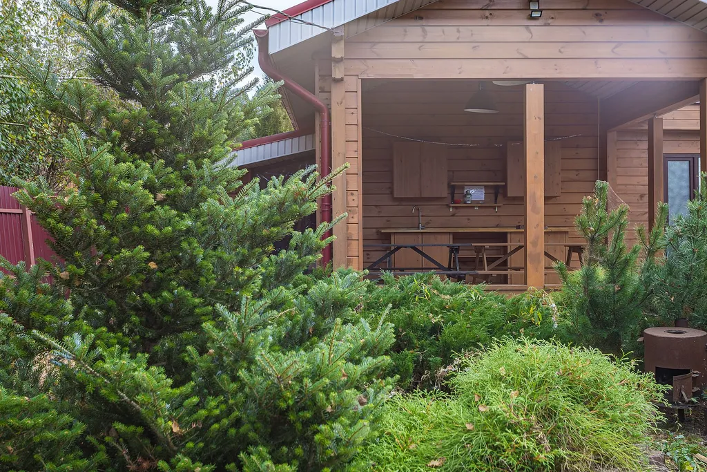 Лесной уголок