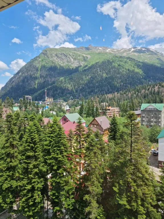 Светлая шале евро-трёшка