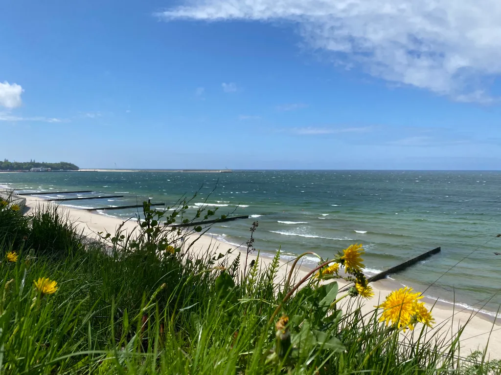 Апартаменты в центре рядом с парком