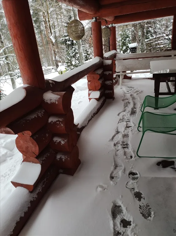 Коттедж у горнолыжного курорта Игора