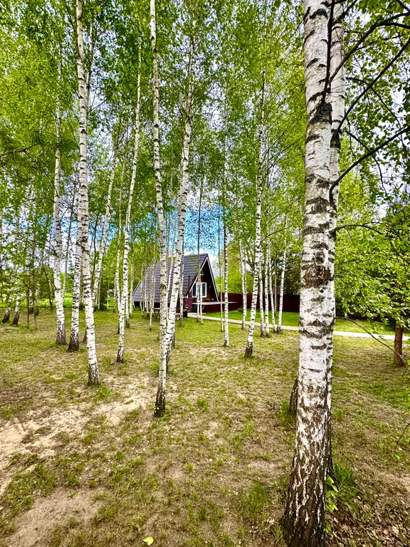 Уютный Афрейм в лесной деревушке под Минском