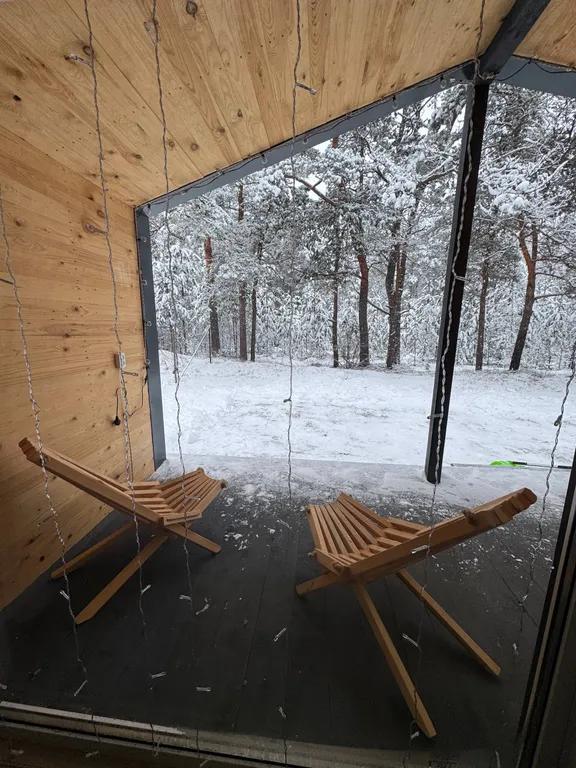 Дом в сосновом лесу