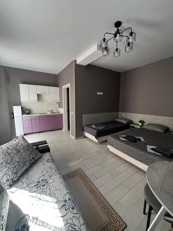 Пятиместная студия с кухней