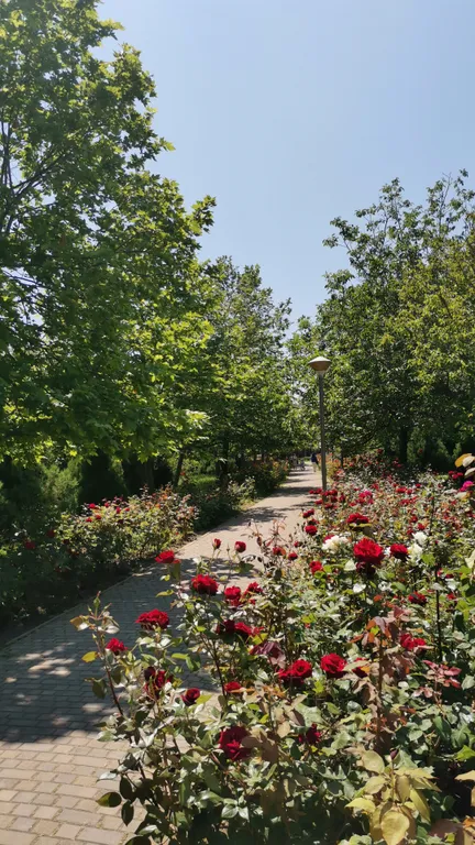 Квартира Happy place