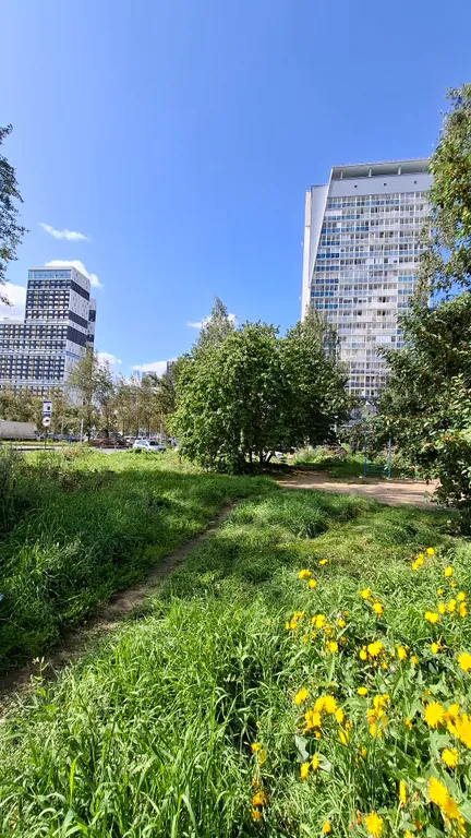 Просторная квартира с видом на парк