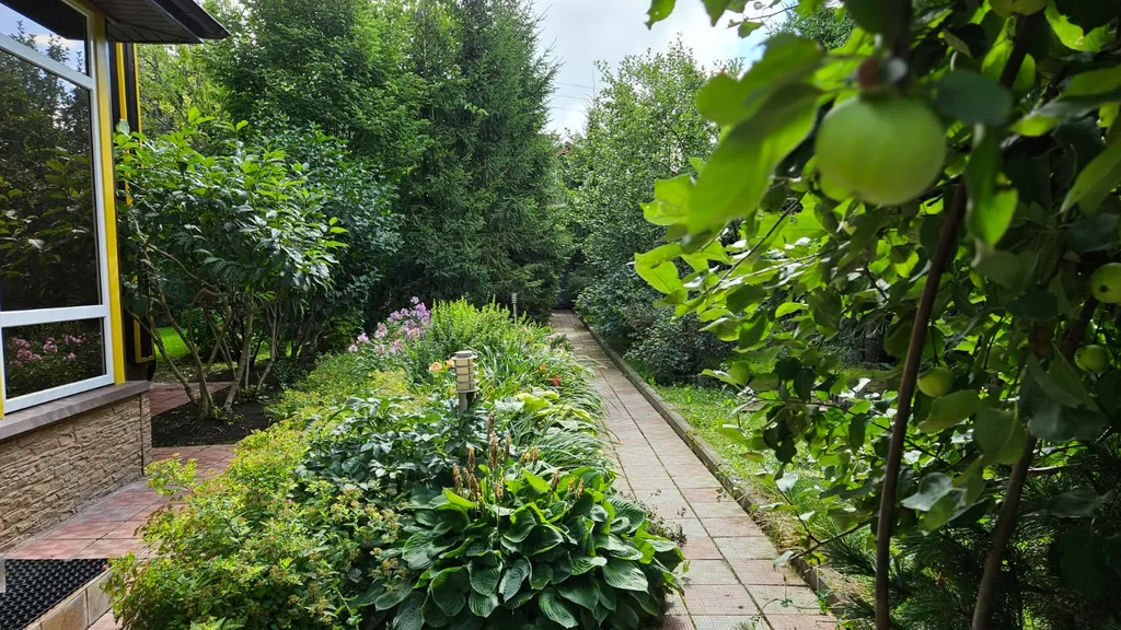 Дом улучшенный