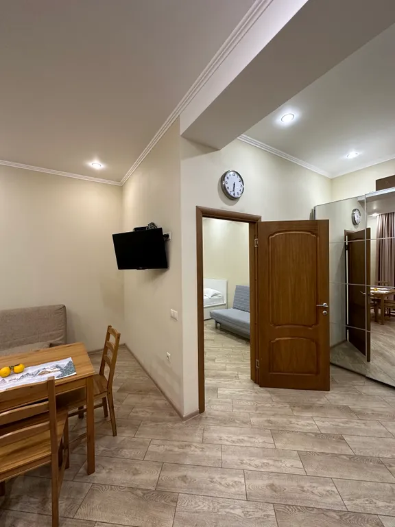 Евро-двухкомнатный апартамент Лаура 8