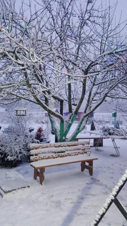 Усадьба на берегу реки