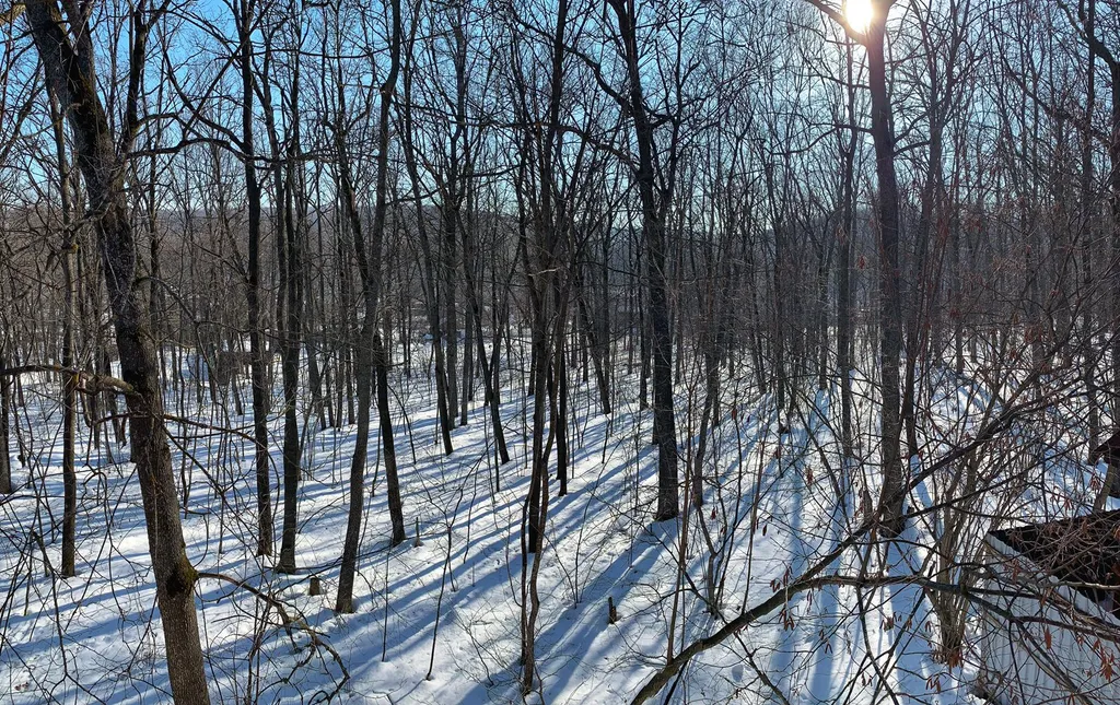 Дом в лесу с бассейном и баней