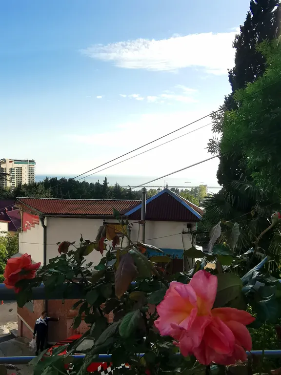 Квартира Квартира Апартамент с видом на море — Сочи