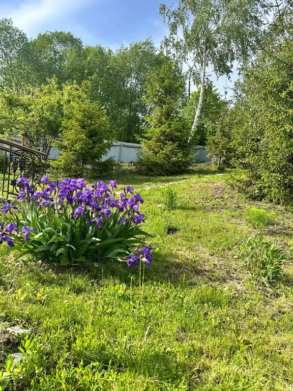 Дом с мангалом и баней