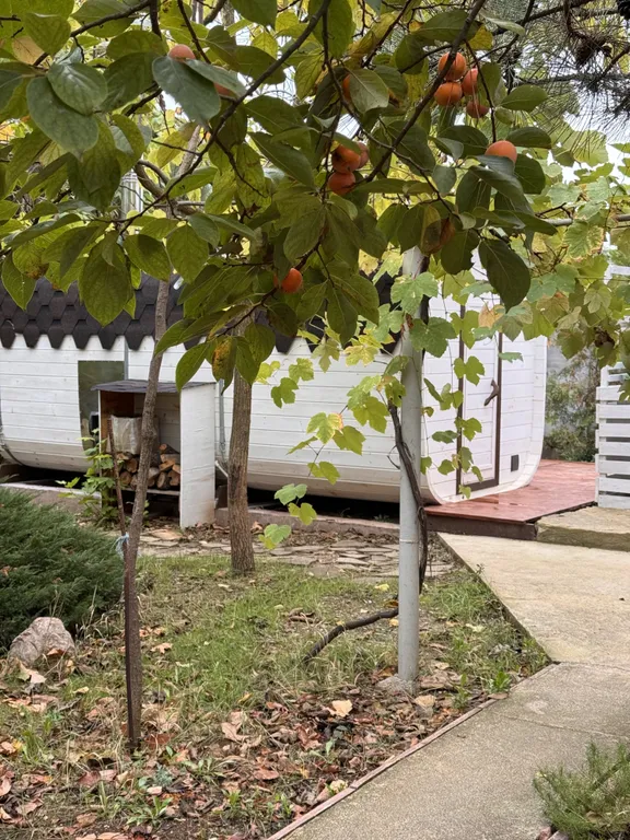 Квартира Комната — Береговое (Бахчисарай)