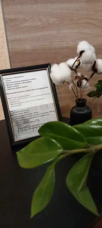 Уютная квартира в старом поселке