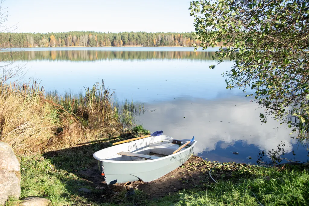 Коттедж 3-комнатный Дом — Приладожское