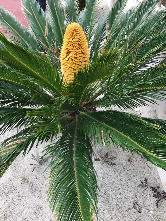 Таунхаус в самом лучшем районе