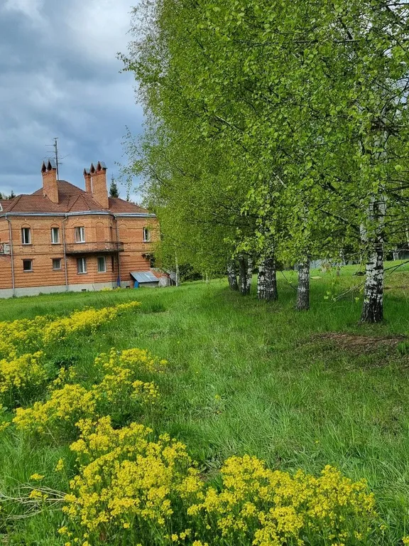 Коттедж у пруда в окружении леса