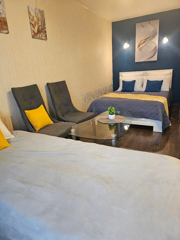 Уютная однокомнатная квартира в центре города