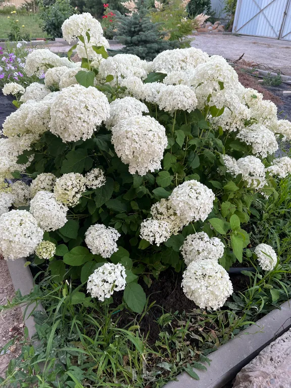 Загородный дом на берегу реки