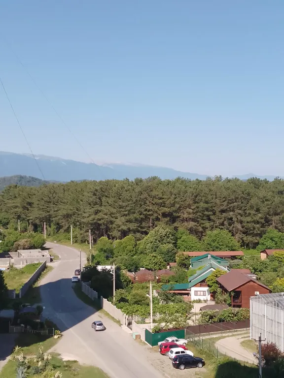 Квартира в Пицунде — аренда посуточно в Пицунда