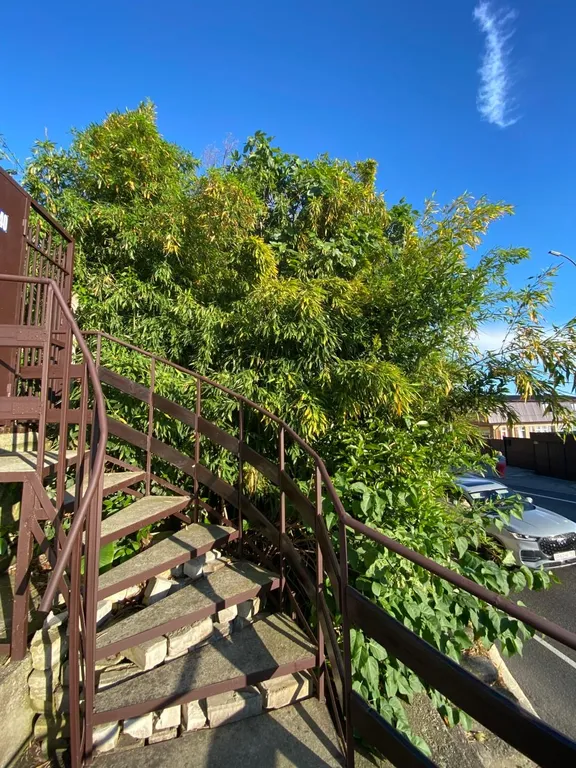 Уютная двухместная комната Победы 340 (море через дорогу)