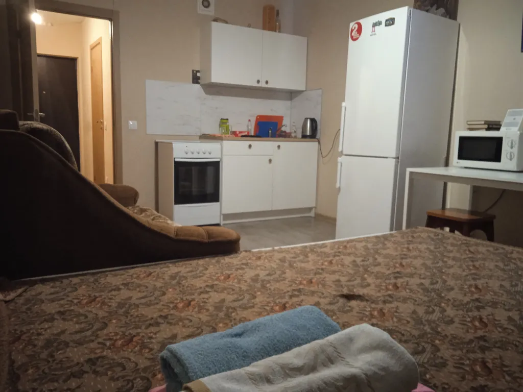 Квартира Квартира Уютная студия напротив НИИ им. Петрова — Песочный