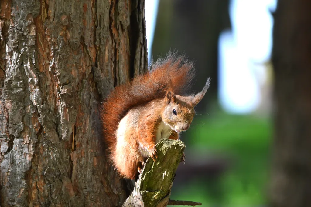 Уютная квартира 1-я линия у моря