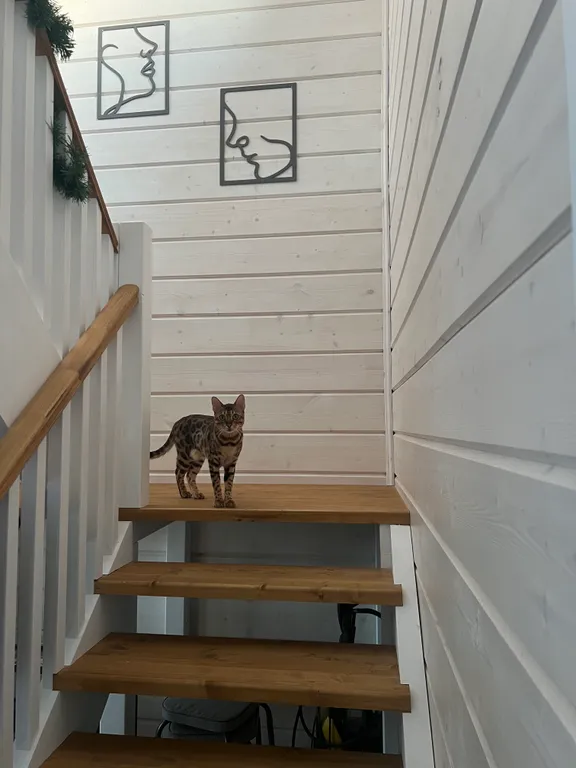 Дом в стиле Барнхаус на берегу реки Ока