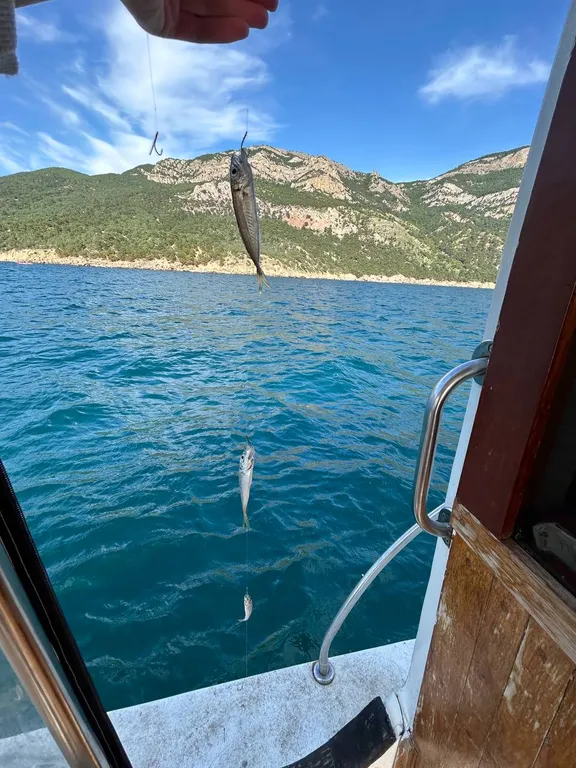 Квартира Квартира Семейный апартамент с террасой — Севастополь