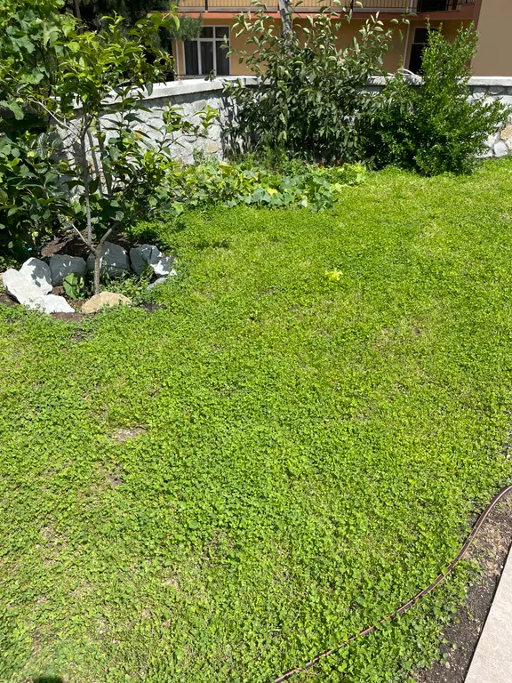 Двухместный номер с 1 кроватью стандарт 41