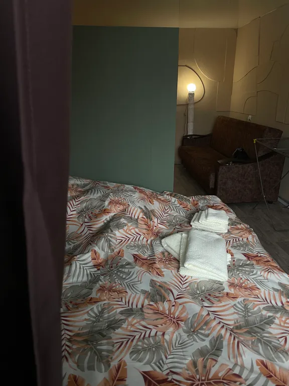 Уютная однокомнатная квартира на 4 гостя