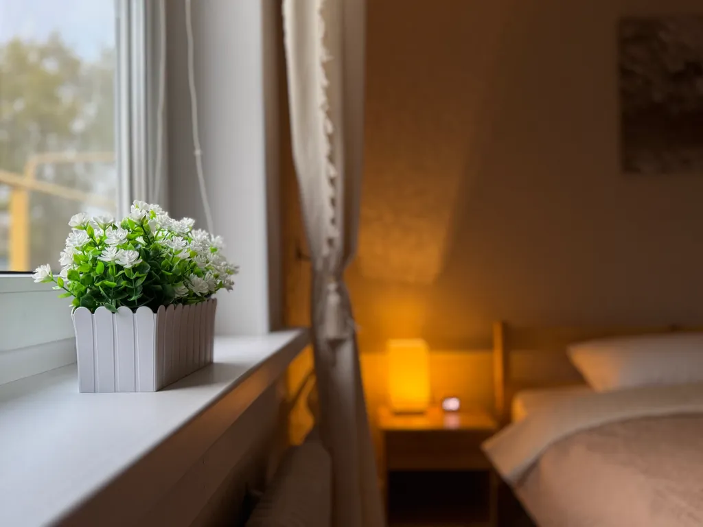 Дом у Плещеева озера