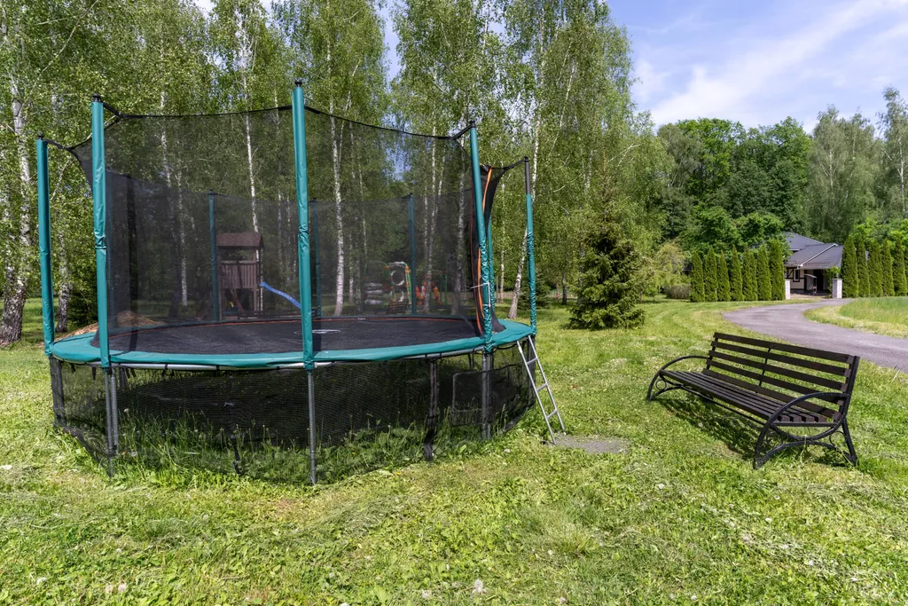 Дом с баней на лесной опушке