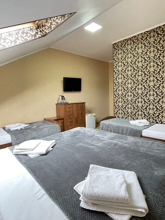 Квартира Стандартный номер с общим балконом — аренда посуточно в Сочи