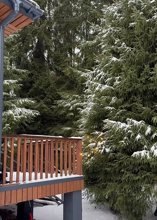 Дом с чаном и сауной в лесу