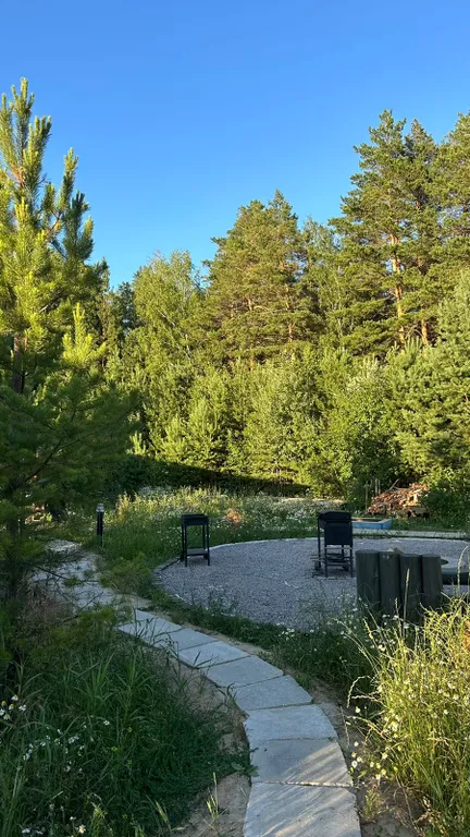 Темный домик на опушке леса