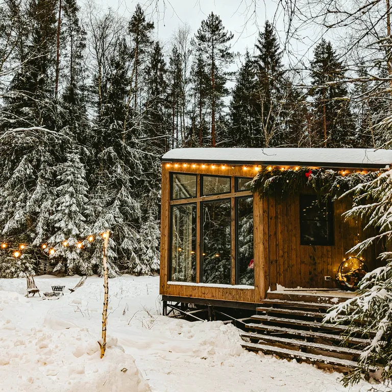 Уютный дом в лесу