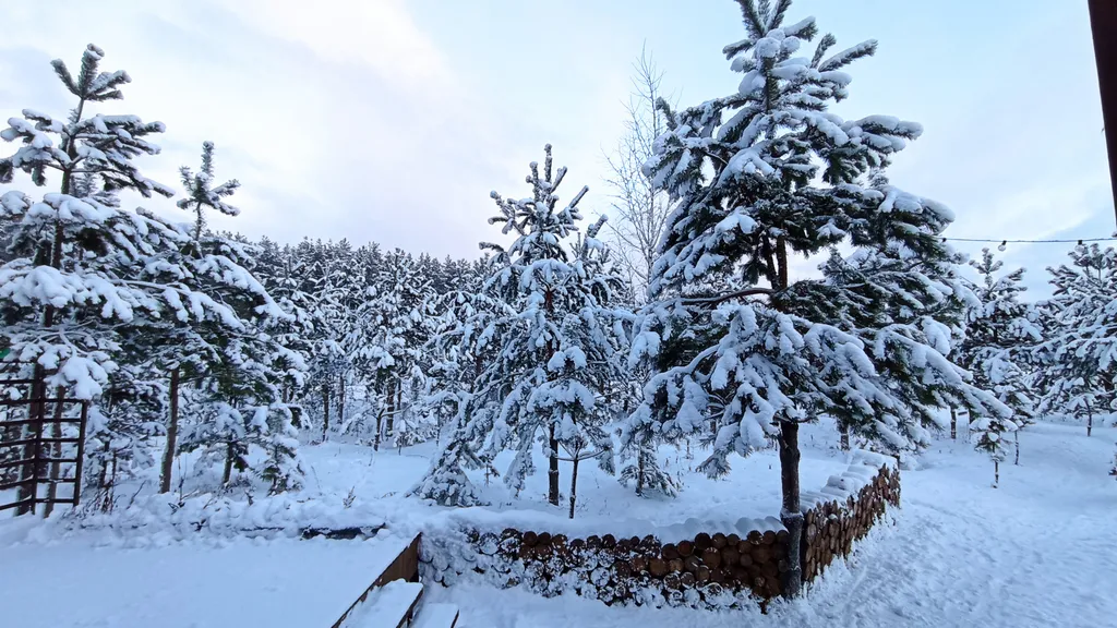 Уютный домик в сосновом лесу