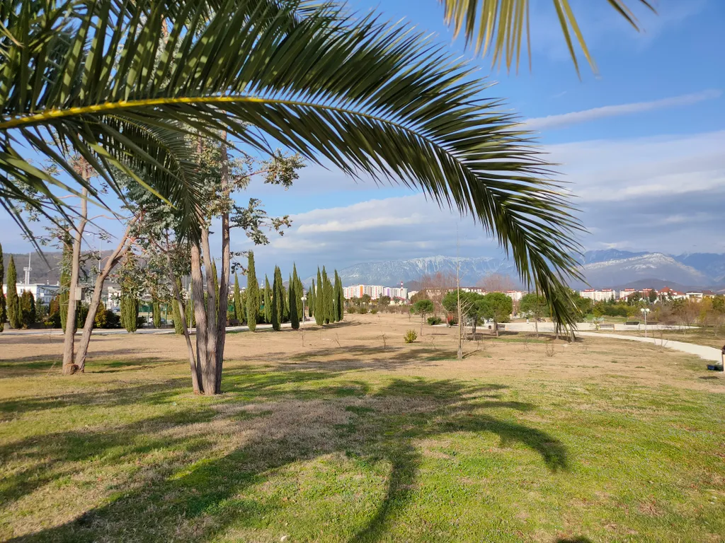 Апартаменты Магнолия