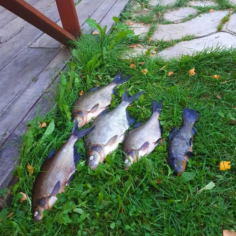 Дом с видом на озеро