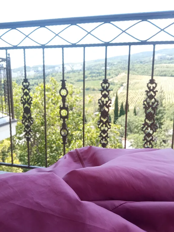 Уютная большая видовая квартира с балконом 2.2