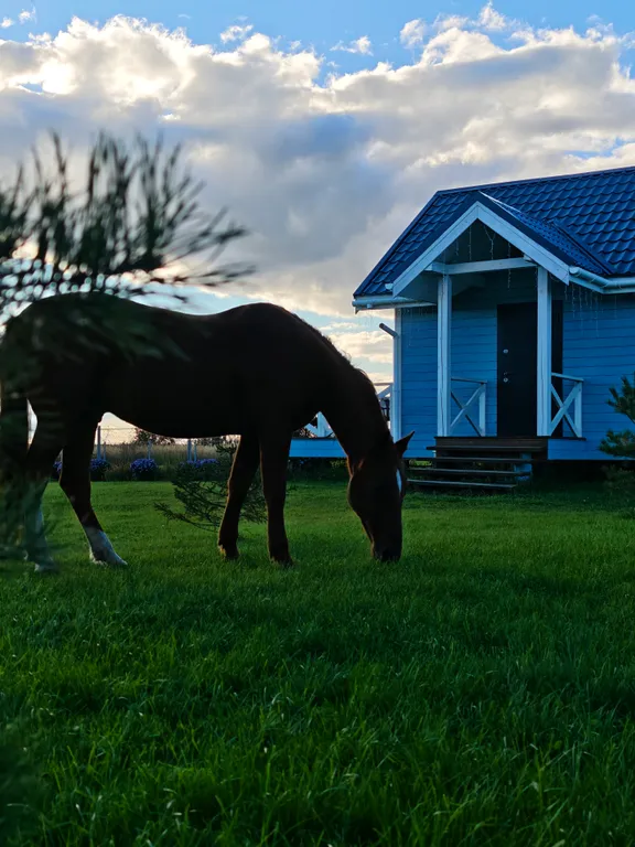 Коттедж Загородный дом близ Суздаля Загородное пространство — аренда посуточно в Суздаль
