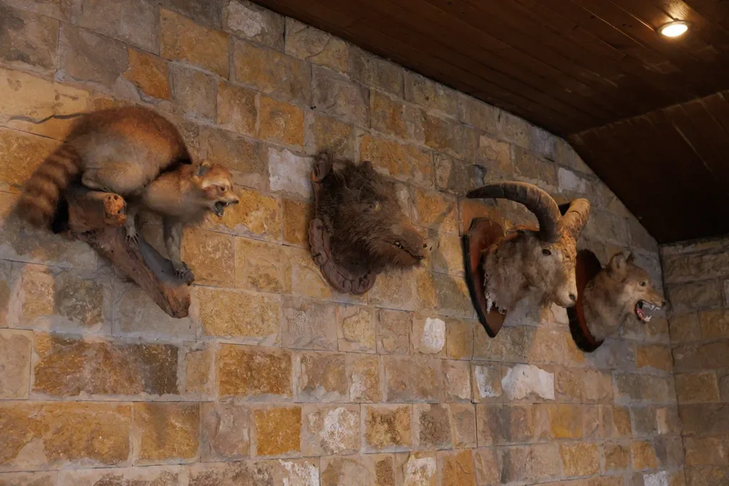 Апартаменты с двором в районе Кемпинг