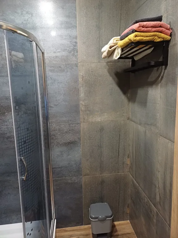 1-комнатная   квартира с видом на финский залив