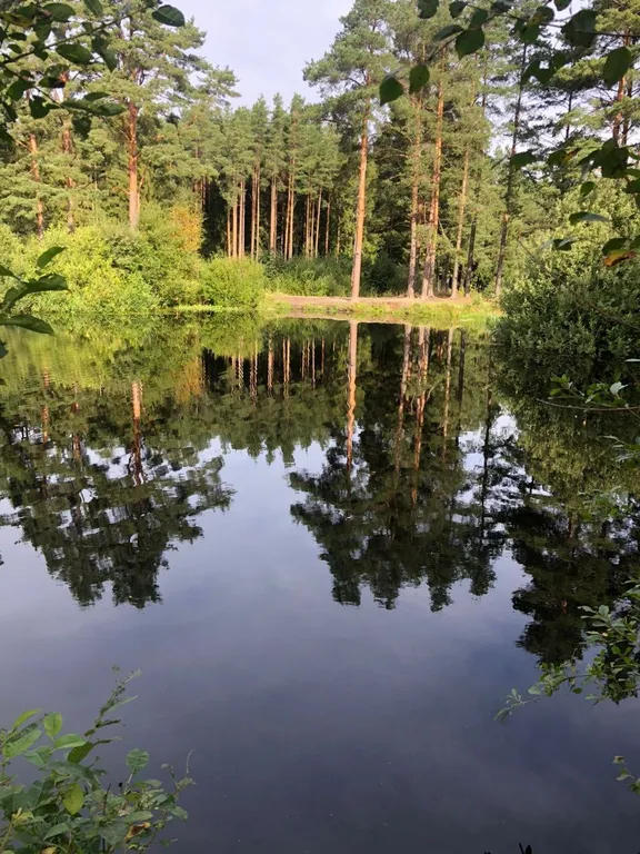 Коттедж Дом напротив озера в Рахье — Проба