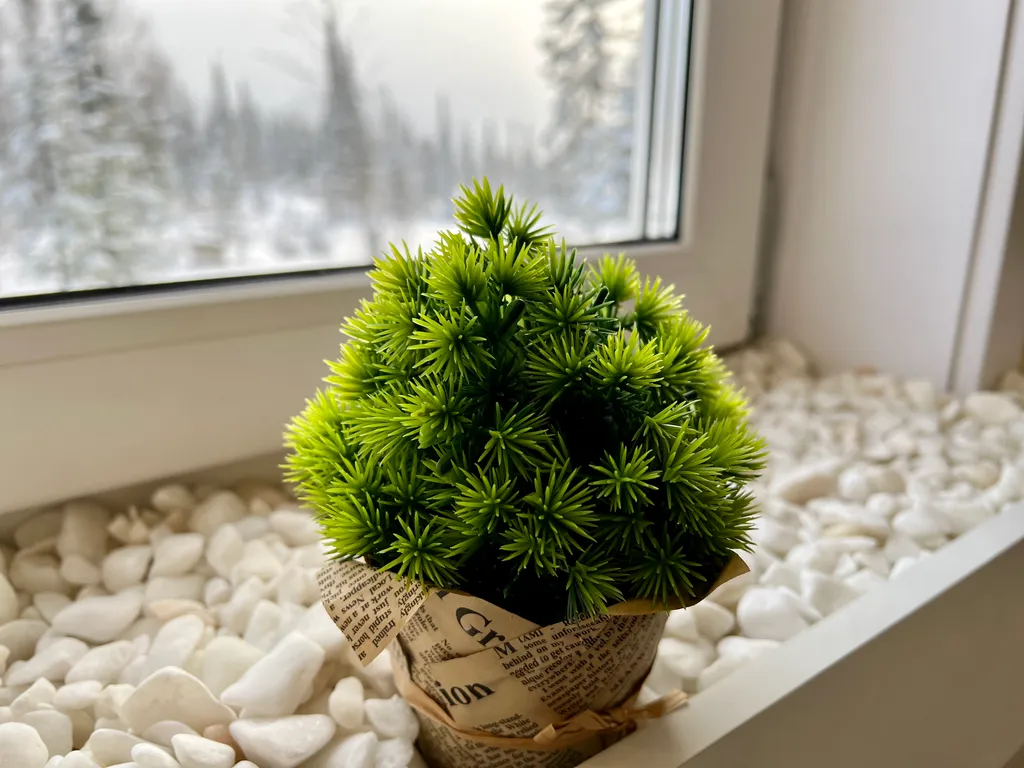 Гостевой дом жемчужина