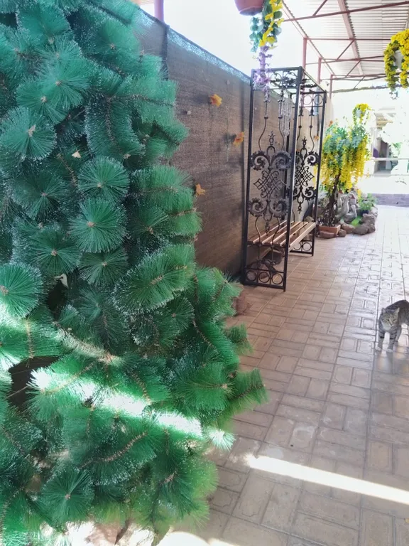 Квартира Квартира Гостевой дом " калинина 20 " номер люкс " 3 а " — Ейск