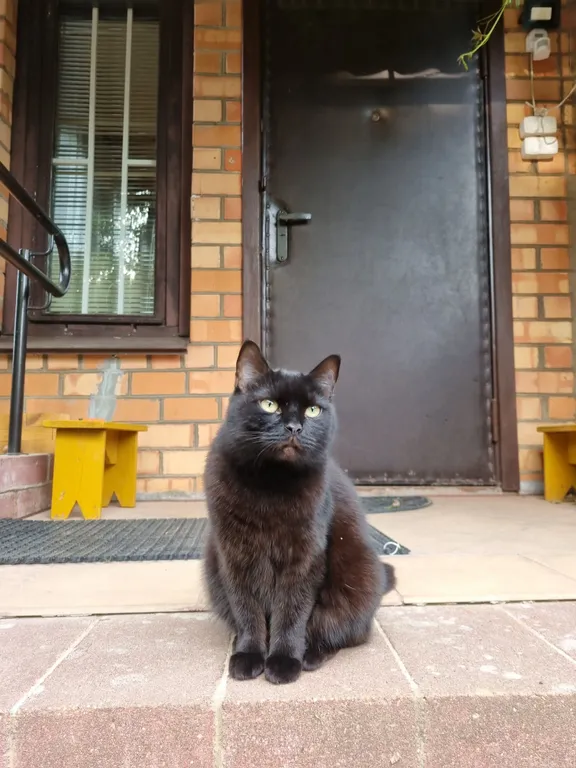 Коттедж на склоне возле Дубровского