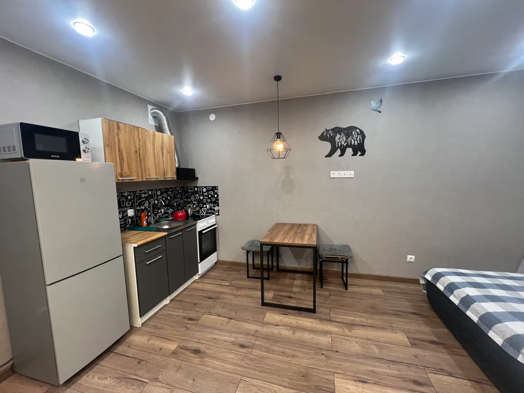 Студия в историческом центре Тюмени