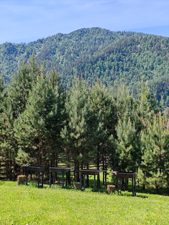 Атмосферный дом с видом на горы