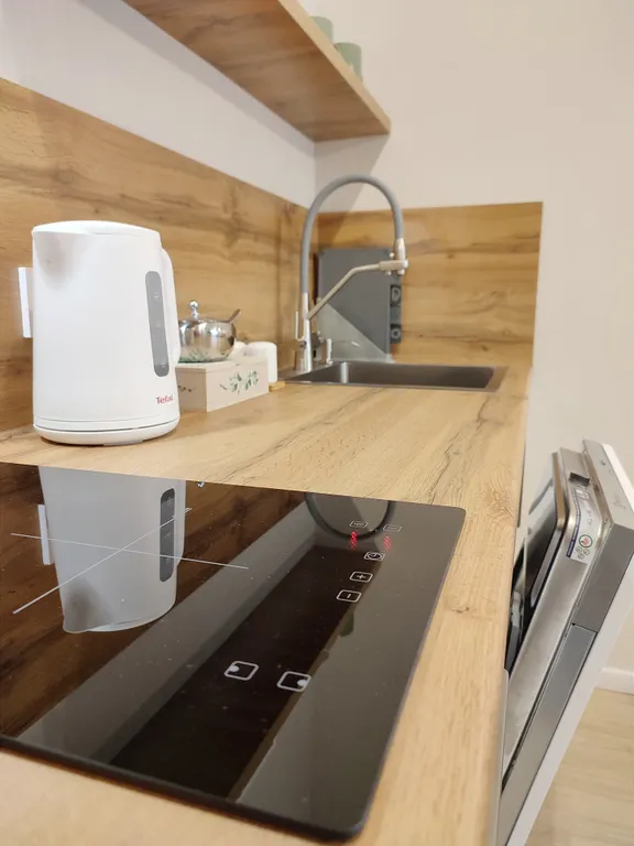 Люкс евро квартира с террасой около Планеты